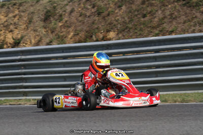 14 et 15/11/2015 : Championnat de France KZ Long Circuit à Pau-Arnos (Photos Stéphane Agnus) 2015 — karting