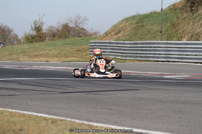 14 et 15/11/2015 : Championnat de France KZ Long Circuit à Pau-Arnos (Photos Stéphane Agnus) 2015 — karting