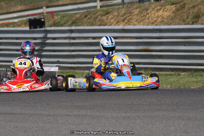 14 et 15/11/2015 : Championnat de France KZ Long Circuit à Pau-Arnos (Photos Stéphane Agnus) 2015 — karting