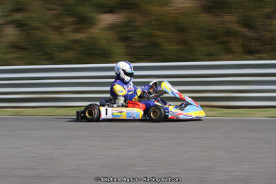 14 et 15/11/2015 : Championnat de France KZ Long Circuit à Pau-Arnos (Photos Stéphane Agnus) 2015 — karting