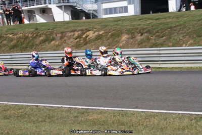 14 et 15/11/2015 : Championnat de France KZ Long Circuit à Pau-Arnos (Photos Stéphane Agnus) 2015 — karting