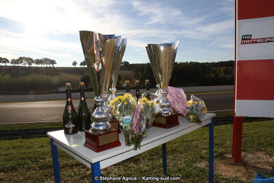 14 et 15/11/2015 : Championnat de France KZ Long Circuit à Pau-Arnos (Photos Stéphane Agnus) 2015 — karting