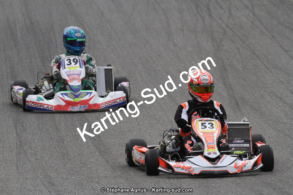 14 et 15/11/2015 : Championnat de France KZ Long Circuit à Pau-Arnos (Photos Stéphane Agnus) 2015 — karting