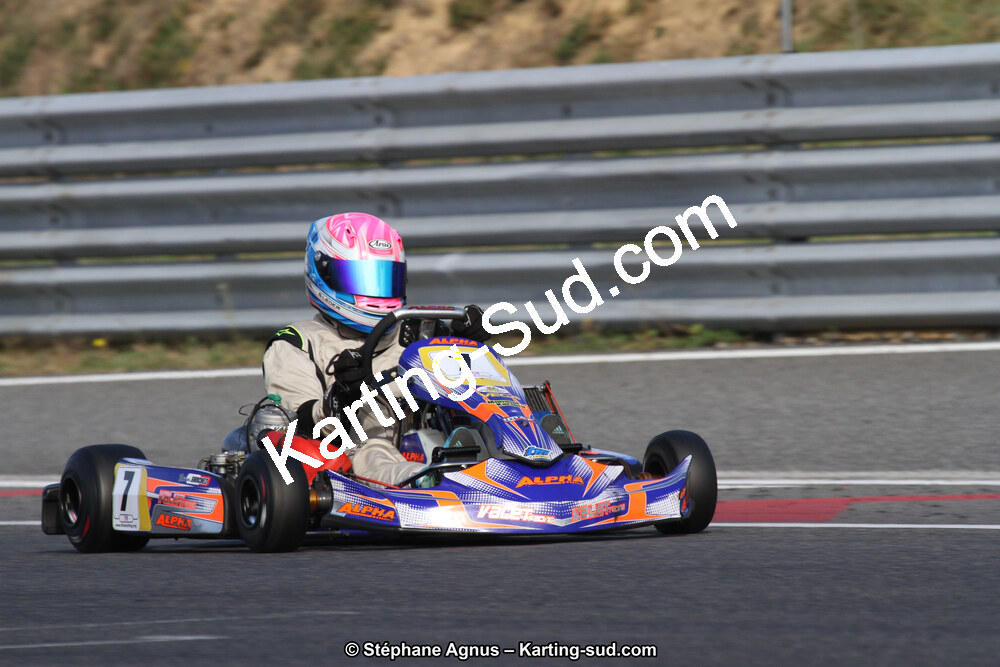 14 et 15/11/2015 : Championnat de France KZ Long Circuit à Pau-Arnos (Photos Stéphane Agnus) 2015 — karting