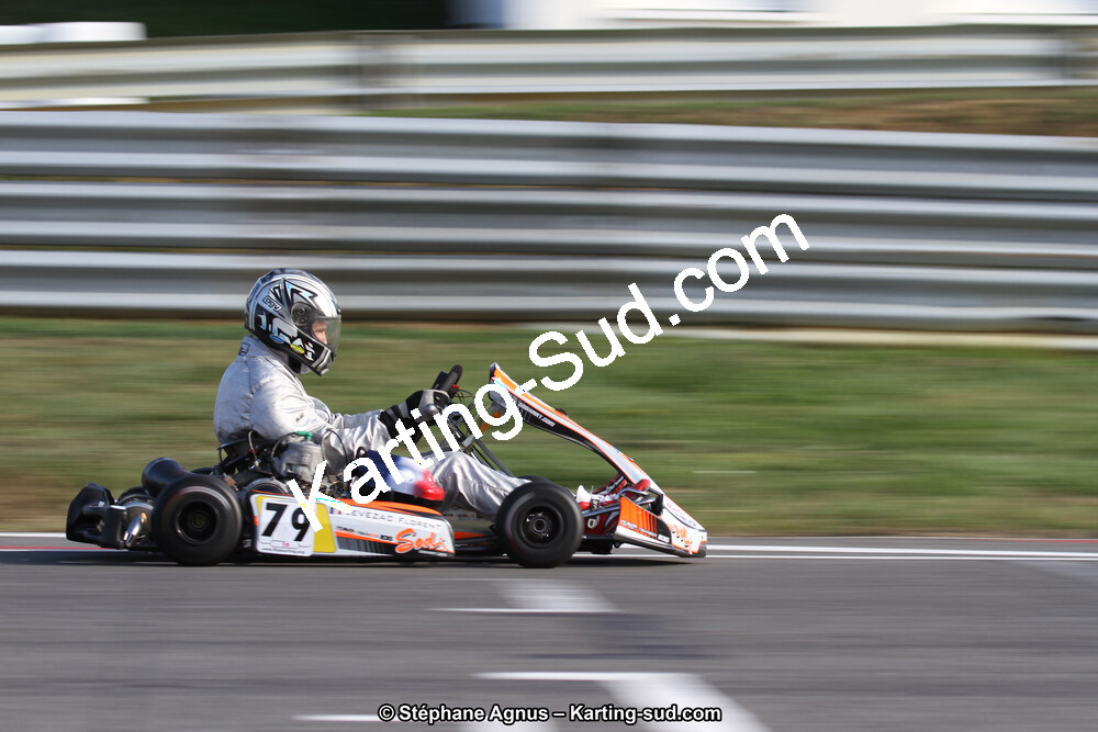 14 et 15/11/2015 : Championnat de France KZ Long Circuit à Pau-Arnos (Photos Stéphane Agnus) 2015 — karting