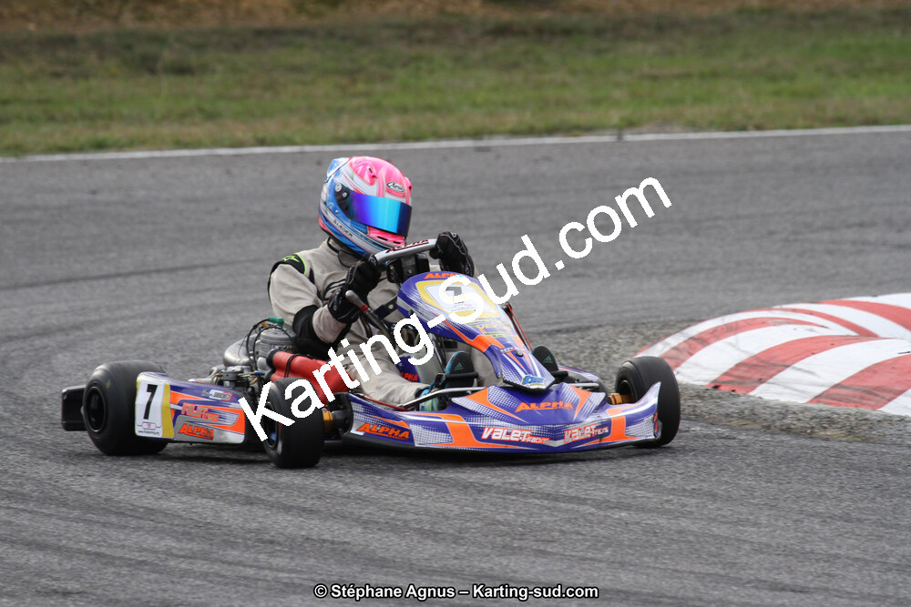 14 et 15/11/2015 : Championnat de France KZ Long Circuit à Pau-Arnos (Photos Stéphane Agnus) 2015 — karting