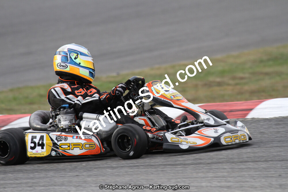 14 et 15/11/2015 : Championnat de France KZ Long Circuit à Pau-Arnos (Photos Stéphane Agnus) 2015 — karting