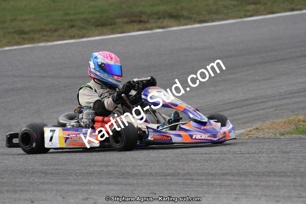 14 et 15/11/2015 : Championnat de France KZ Long Circuit à Pau-Arnos (Photos Stéphane Agnus) 2015 — karting