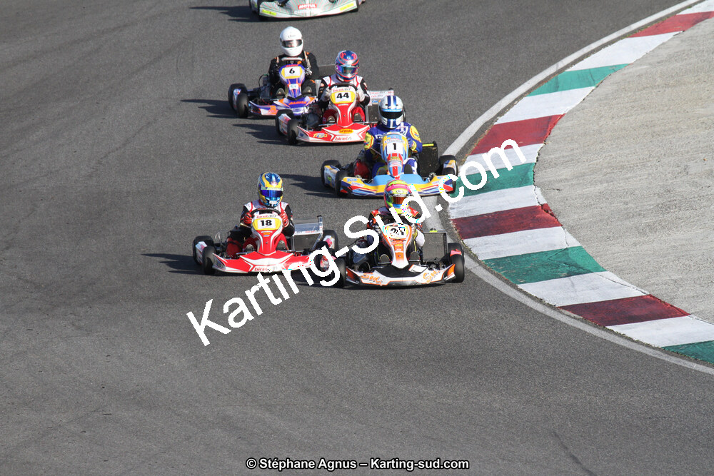 14 et 15/11/2015 : Championnat de France KZ Long Circuit à Pau-Arnos (Photos Stéphane Agnus) 2015 — karting