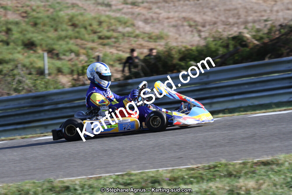 14 et 15/11/2015 : Championnat de France KZ Long Circuit à Pau-Arnos (Photos Stéphane Agnus) 2015 — karting