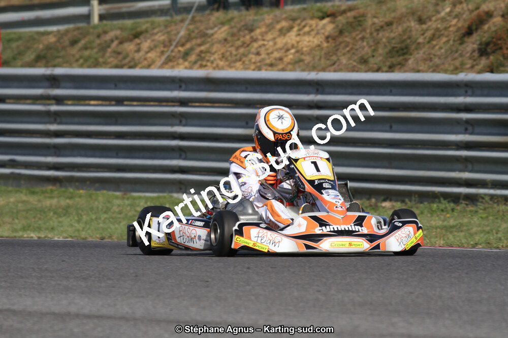 14 et 15/11/2015 : Championnat de France KZ Long Circuit à Pau-Arnos (Photos Stéphane Agnus) 2015 — karting