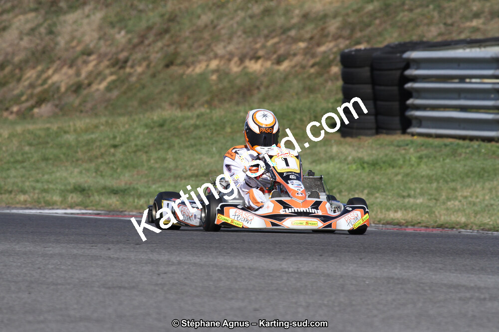 14 et 15/11/2015 : Championnat de France KZ Long Circuit à Pau-Arnos (Photos Stéphane Agnus) 2015 — karting