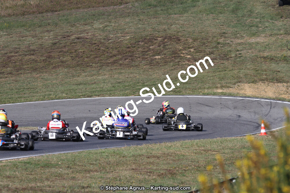 14 et 15/11/2015 : Championnat de France KZ Long Circuit à Pau-Arnos (Photos Stéphane Agnus) 2015 — karting
