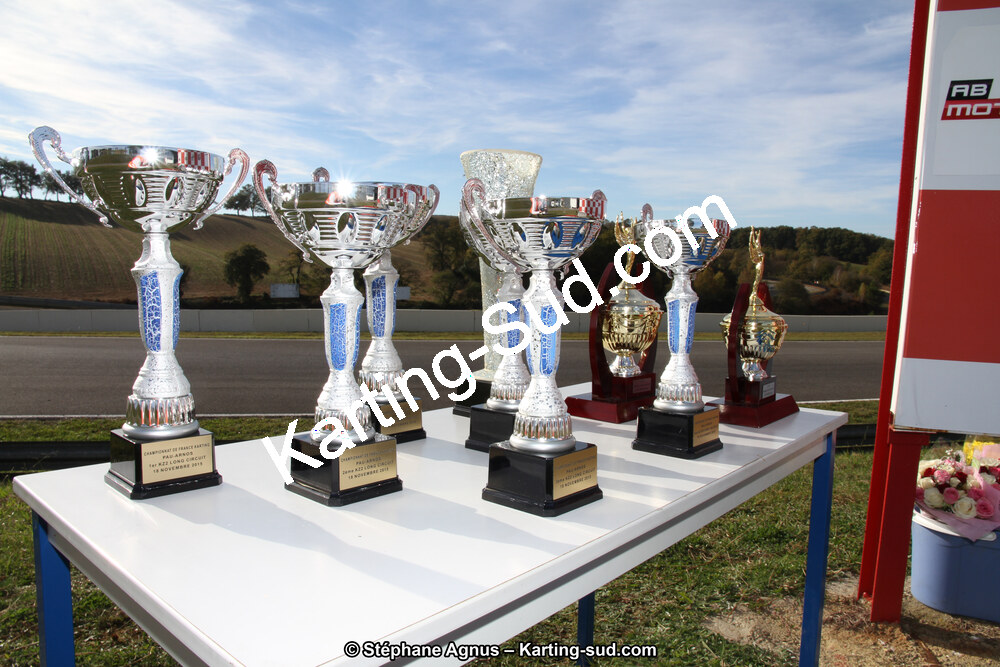 14 et 15/11/2015 : Championnat de France KZ Long Circuit à Pau-Arnos (Photos Stéphane Agnus) 2015 — karting