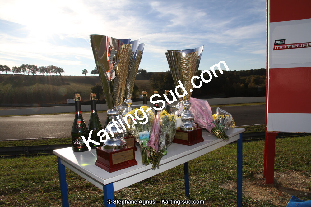 14 et 15/11/2015 : Championnat de France KZ Long Circuit à Pau-Arnos (Photos Stéphane Agnus) 2015 — karting
