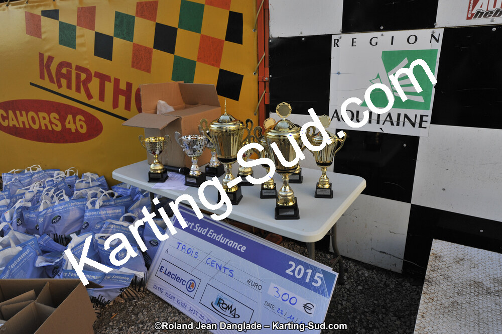 22/11/2015 : Kart Sud Endurance à Layrac (Photos Roland Jean Danglade) 2015 — karting