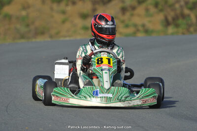 22/11/2015 : Kart Sud Endurance à Layrac (Photos Patrick Lascombes) 2015 — karting