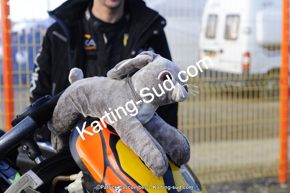 22/11/2015 : Kart Sud Endurance à Layrac (Photos Patrick Lascombes) 2015 — karting