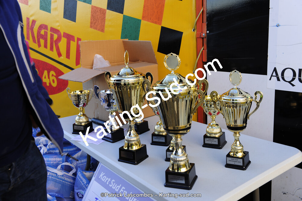 22/11/2015 : Kart Sud Endurance à Layrac (Photos Patrick Lascombes) 2015 — karting