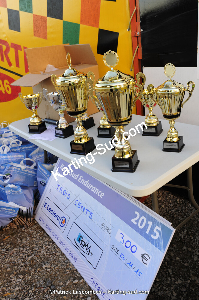 22/11/2015 : Kart Sud Endurance à Layrac (Photos Patrick Lascombes) 2015 — karting
