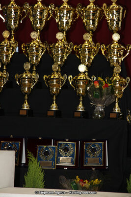 24/01/2016 : Remise des Prix du Comité Automobile et Commission Régionale Karting Midi-Pyrénées à Balma (Photos Stéphane Agnus) 2016 — karting