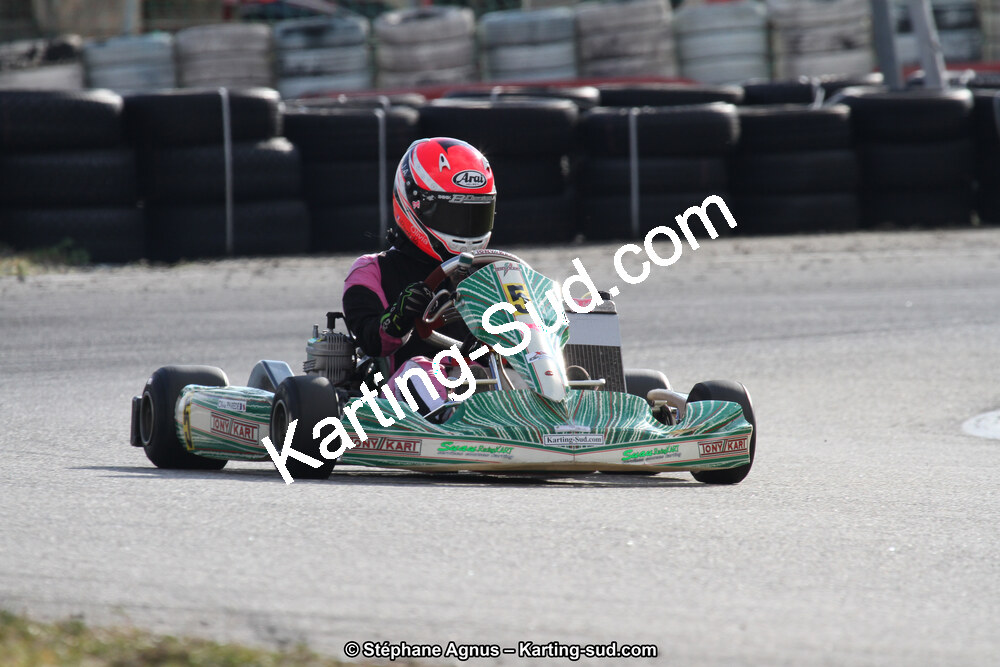 IMG_7913.JPG