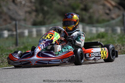 09 & 10/04/2016 : 2ème manche du Championnat du Sud 2016 à Alès (Photos Stéphane Agnus) 2016 — karting