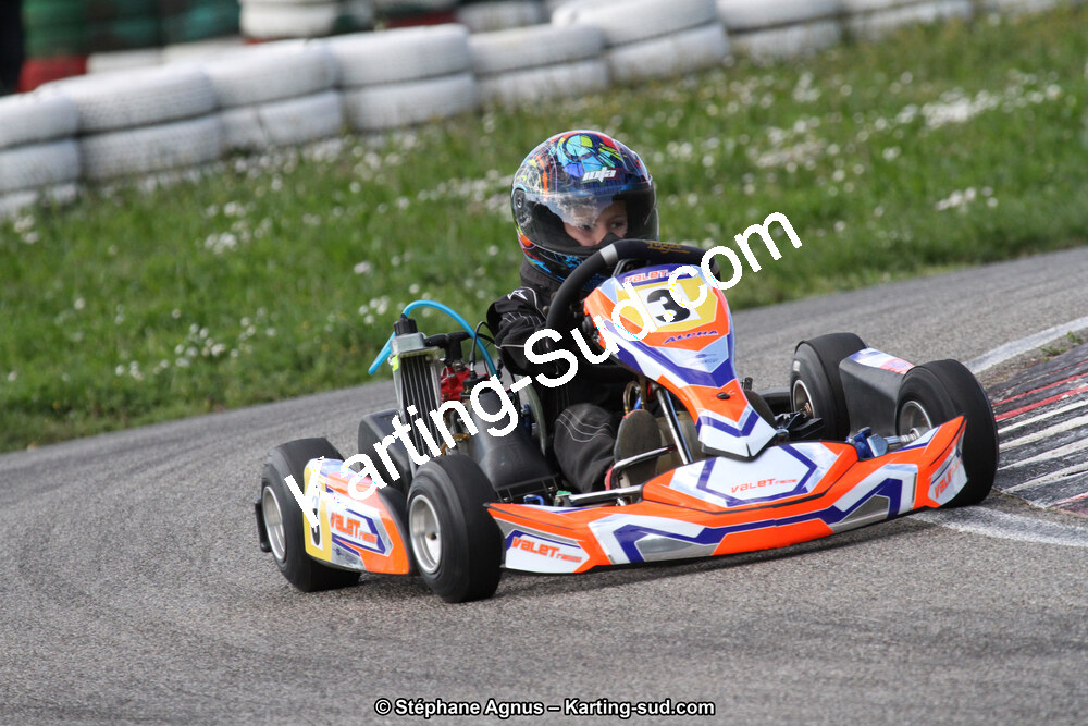 IMG_9921.JPG