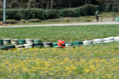 09 & 10/04/2016 : 2ème manche du Championnat du Sud 2016 à Alès (Photos Antoine Camblor) 2016 — karting
