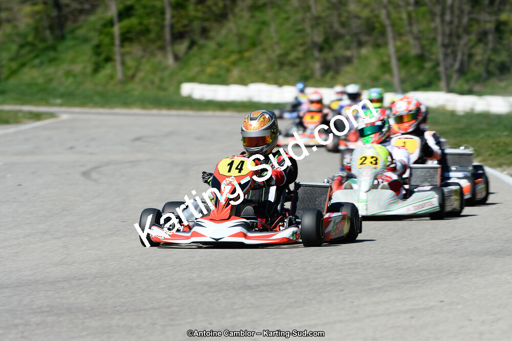 _DSC0277_DxO.jpg