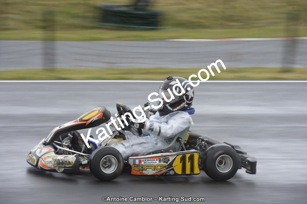_DSC5990_DxO.jpg