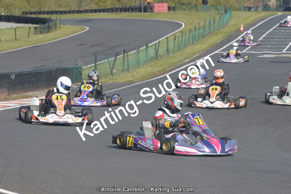 _DSC8600.jpg