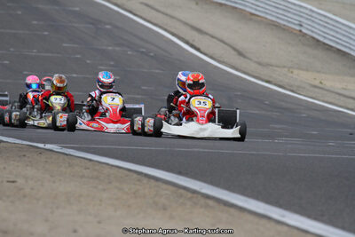 21 & 22/05/2016 : 1ère manche du Championnat de France KZ Long Circuit et Championnat d’Europe Superkart à Lédenon (Photos Stéphane Agnus) 2016 — karting