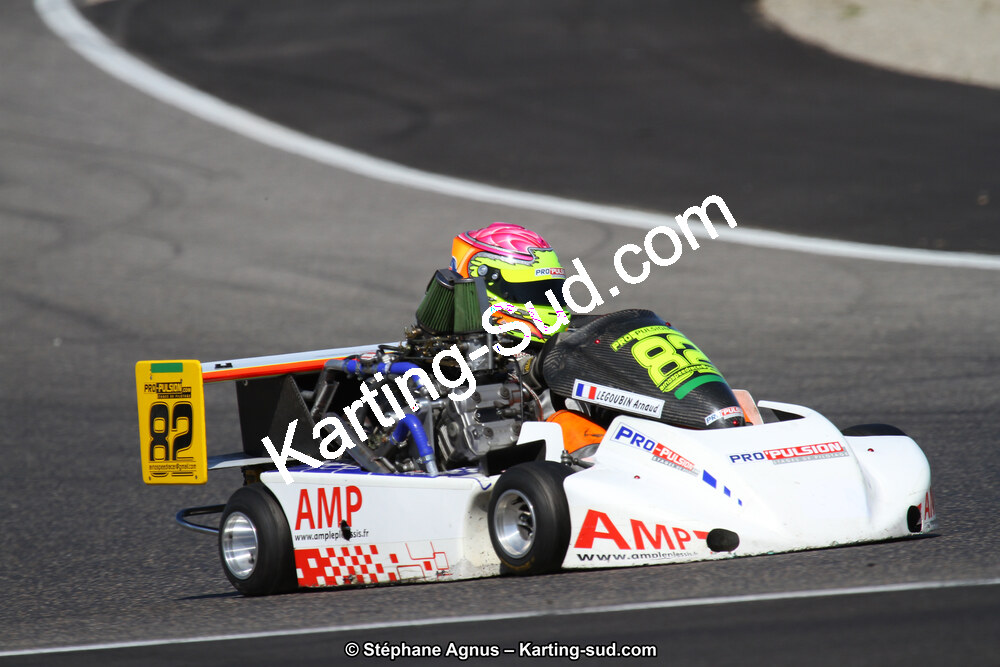 21 & 22/05/2016 : 1ère manche du Championnat de France KZ Long Circuit et Championnat d’Europe Superkart à Lédenon (Photos Stéphane Agnus) 2016 — karting