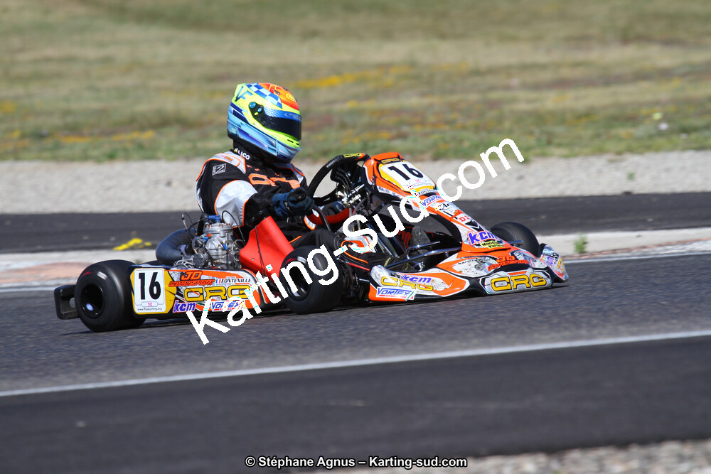 21 & 22/05/2016 : 1ère manche du Championnat de France KZ Long Circuit et Championnat d’Europe Superkart à Lédenon (Photos Stéphane Agnus) 2016 — karting