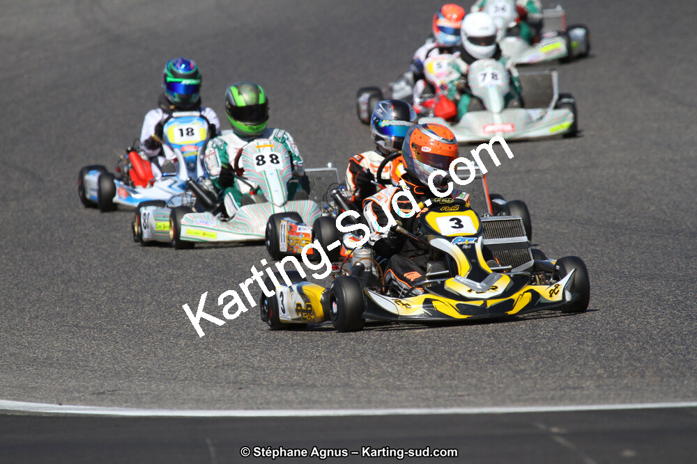 IMG_7954.JPG