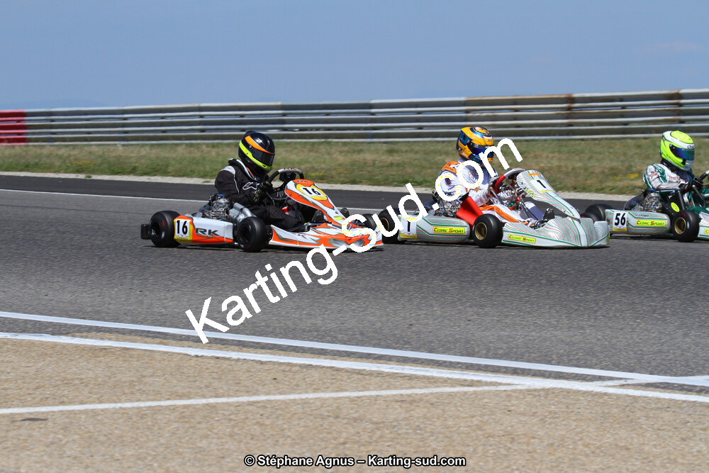 IMG_8378.JPG