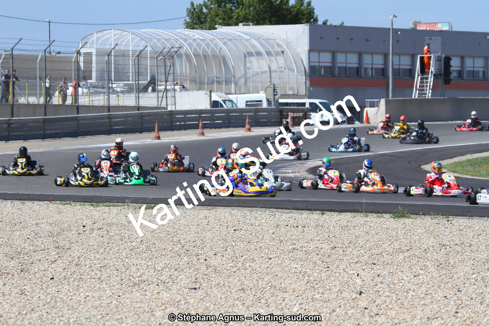 IMG_8419.JPG