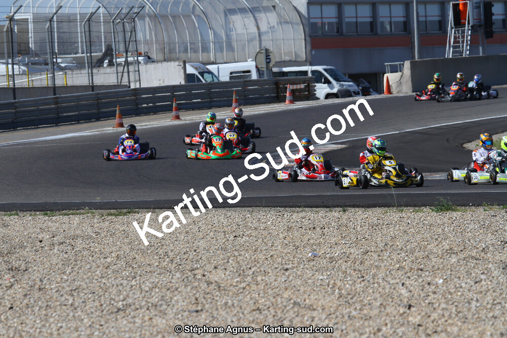 IMG_8728.JPG