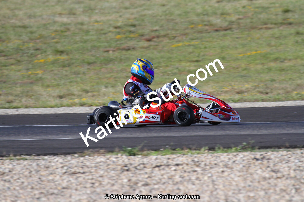 IMG_8849.JPG