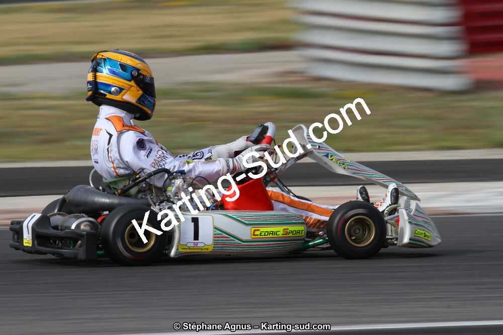 21 & 22/05/2016 : 1ère manche du Championnat de France KZ Long Circuit et Championnat d’Europe Superkart à Lédenon (Photos Stéphane Agnus) 2016 — karting