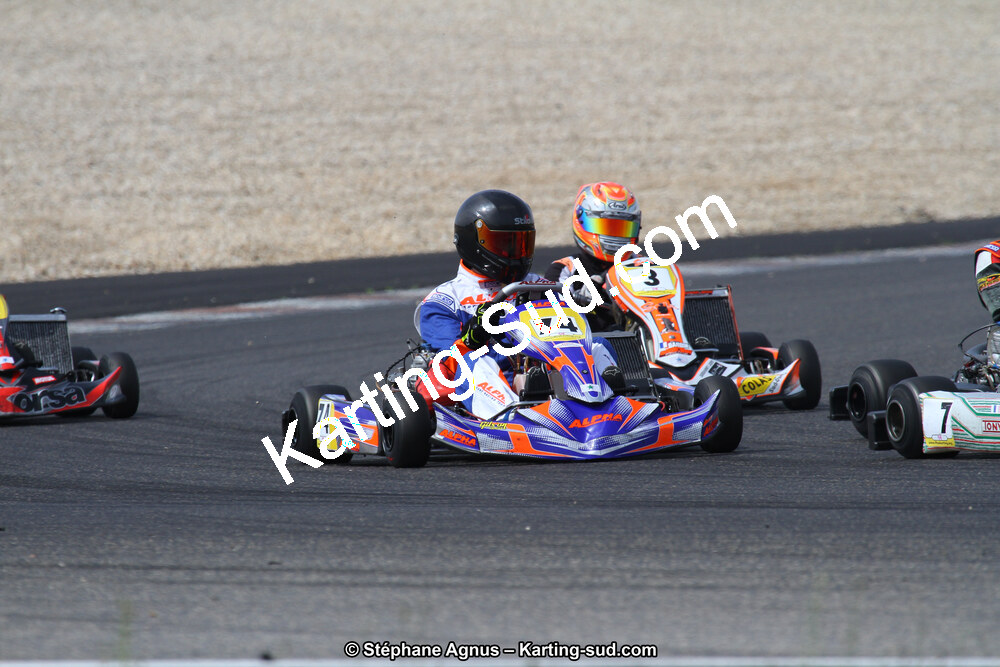 IMG_9439.JPG