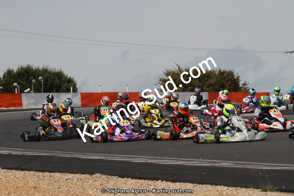 IMG_9646.JPG