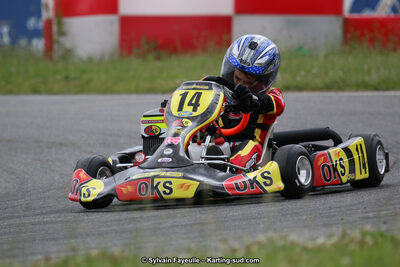 12/06/2016 : Course Club de Muret (Photos Sylvain Fayeulle) 2016 — karting