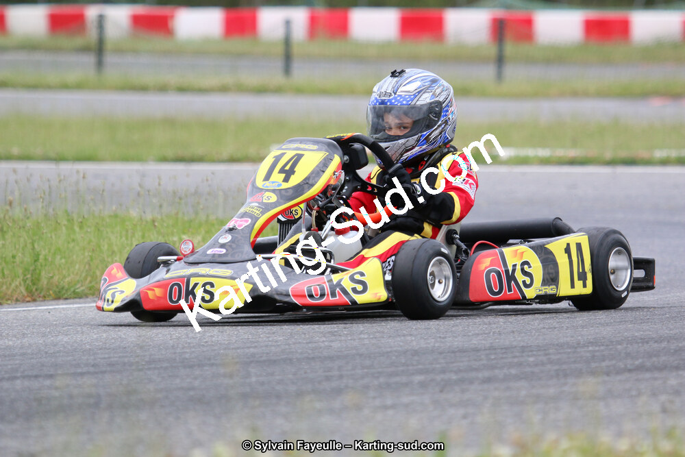 12/06/2016 : Course Club de Muret (Photos Sylvain Fayeulle) 2016 — karting