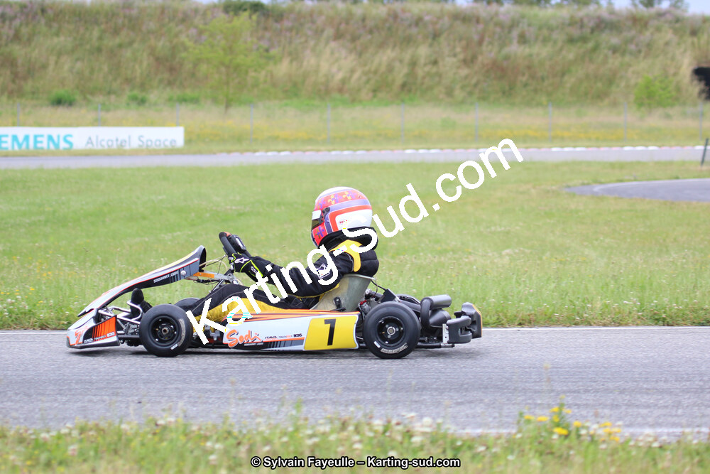 12/06/2016 : Course Club de Muret (Photos Sylvain Fayeulle) 2016 — karting