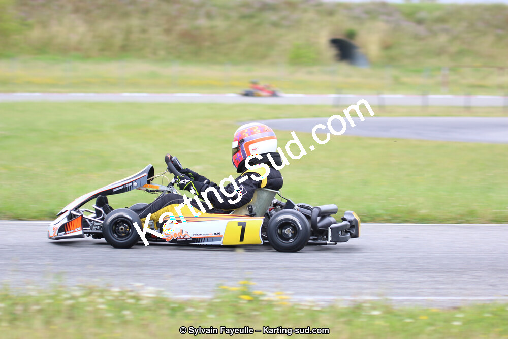 12/06/2016 : Course Club de Muret (Photos Sylvain Fayeulle) 2016 — karting