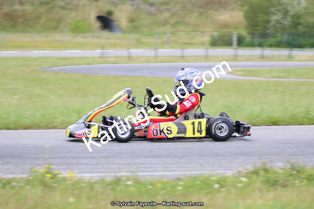 12/06/2016 : Course Club de Muret (Photos Sylvain Fayeulle) 2016 — karting