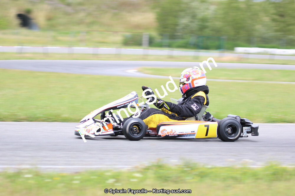 12/06/2016 : Course Club de Muret (Photos Sylvain Fayeulle) 2016 — karting