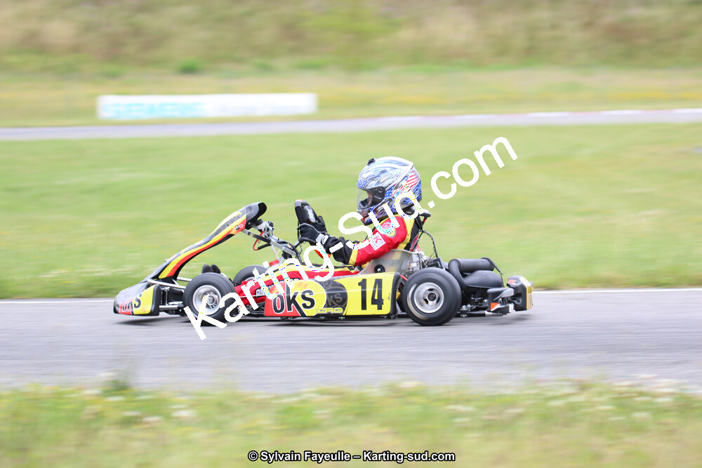 12/06/2016 : Course Club de Muret (Photos Sylvain Fayeulle) 2016 — karting